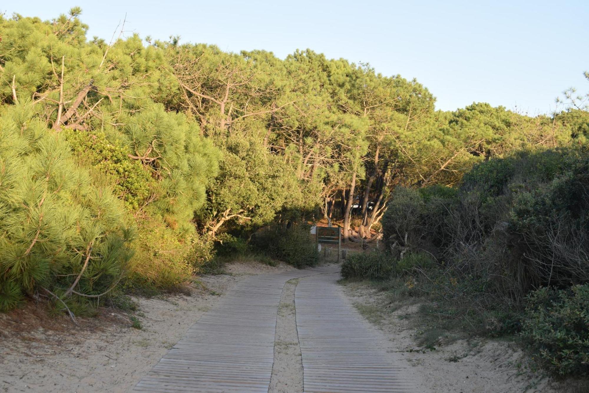 Evasion Cotiere Tranquillite Entre Foret Et Ocean 비엘-생-지롱 외부 사진